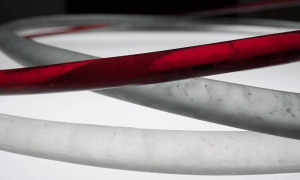 Talente_Anne_MartinHula