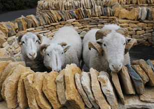 Bildschirmfoto 2017-04-25 um 18.01.43