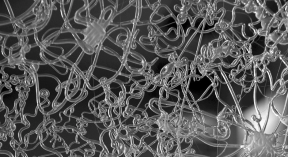 Sandrine Pincemaille