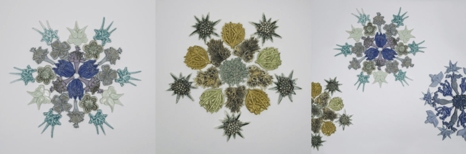 Kay Aplin Asturian flora forms