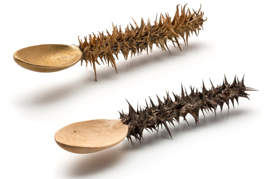 gabiveit_spericolata_www