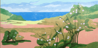 Buch_Urte von Maltzahn-Lietz Dünen