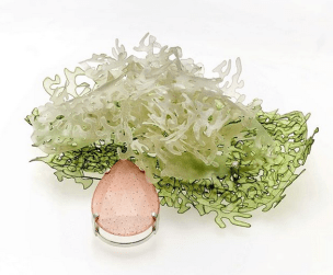 Hamm_Brosche_Gefärbtes Kalbspergament_925Ag