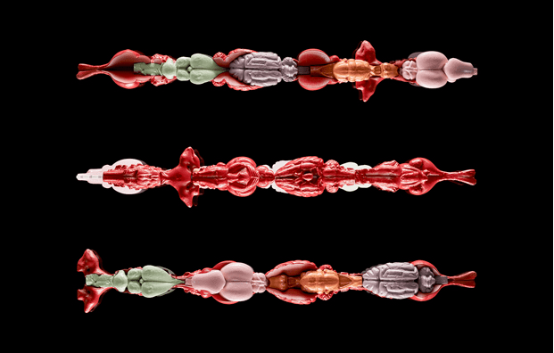 Beate Eismann FotoSascha Linke