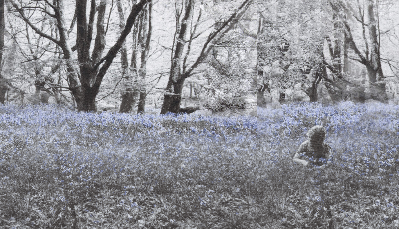 11_TKB_Ainsley_Hillard_in_the_Breeze_97x122_