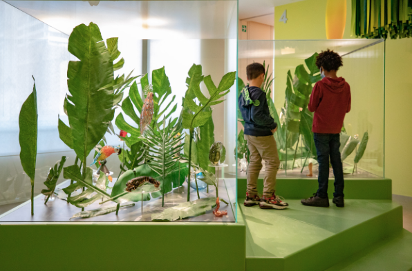 GlasarcheDschugel Enrico Fiorese