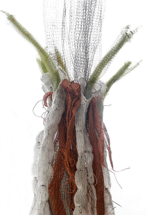 diana-brennan-ranunculus-repens-roots-5-detail