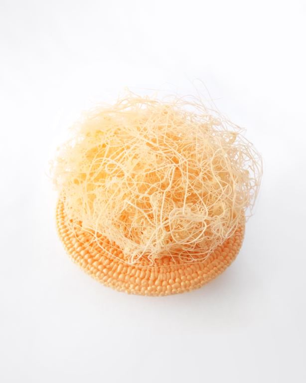 03_Unk Kraus 02 push-la