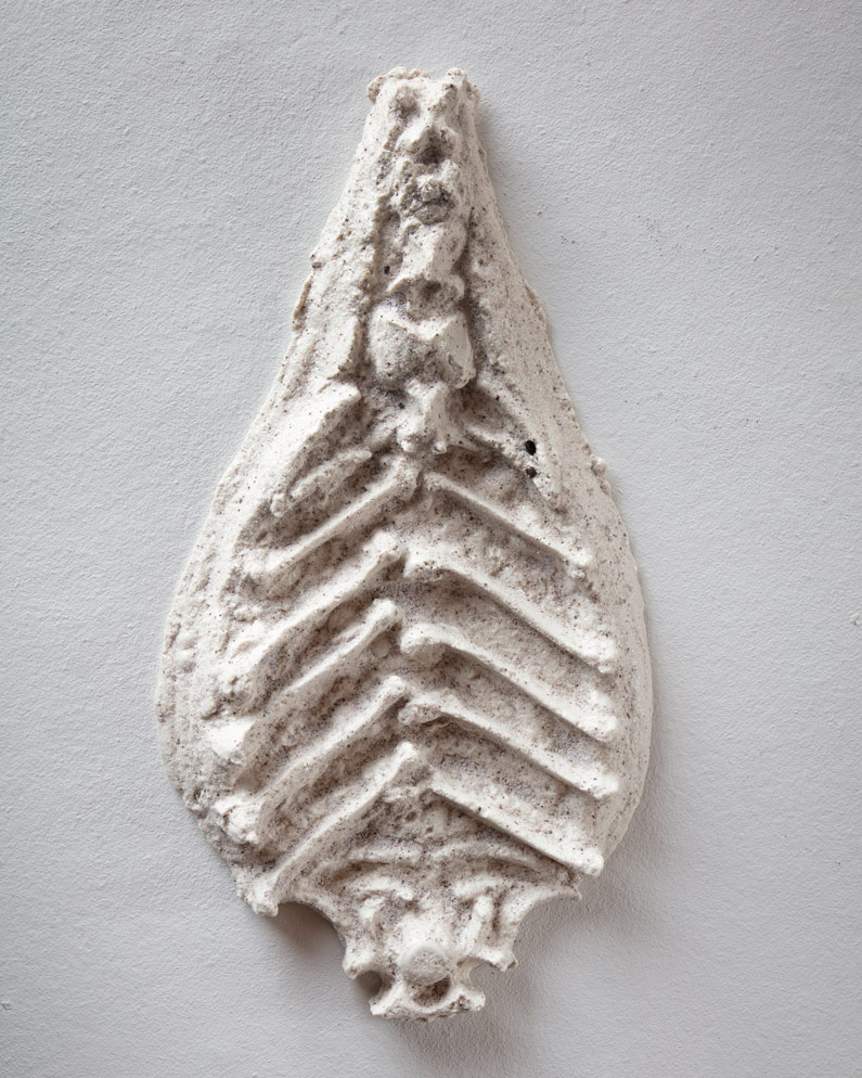 Hidden_while_we_are_alive_bone_structure_Lisbet_Thorborg_Andersen