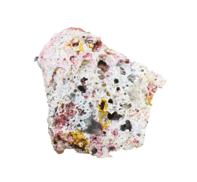 Hochschule Pforzheim