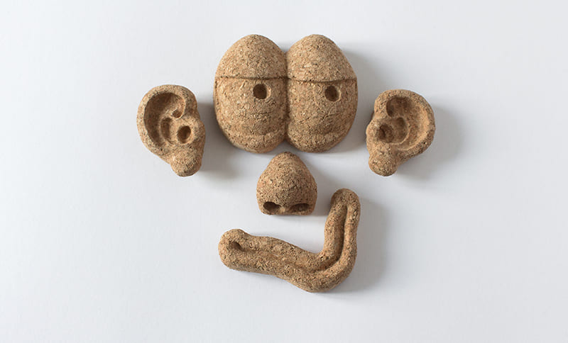 Blank_Kreation_Sprawlsprout_Face_800_484