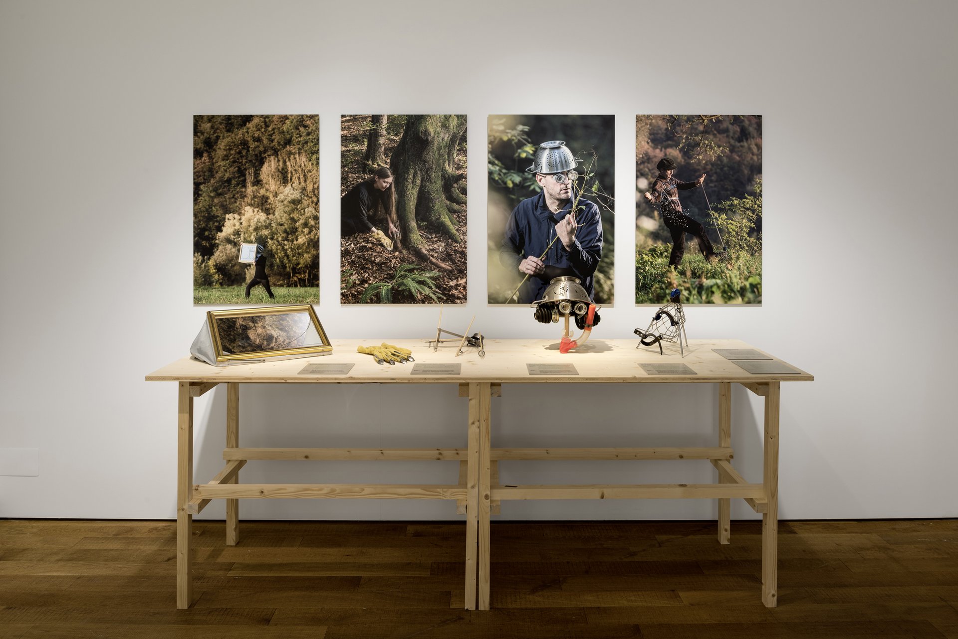 csm_05_Ausstellungsansicht_Pflanzenfieber_f69f2ed896