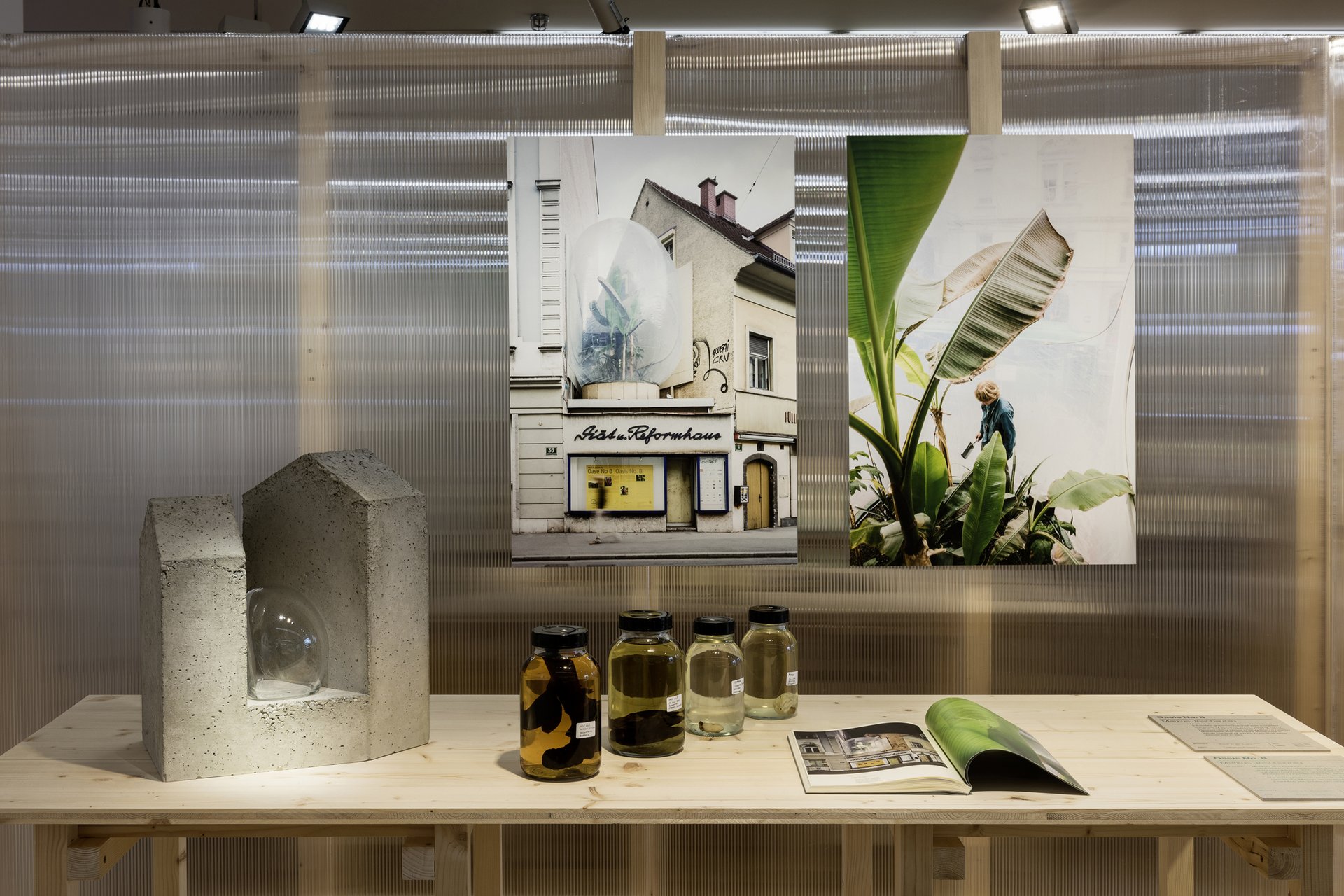 csm_08_Ausstellungsansicht_Pflanzenfieber_4d796726b0