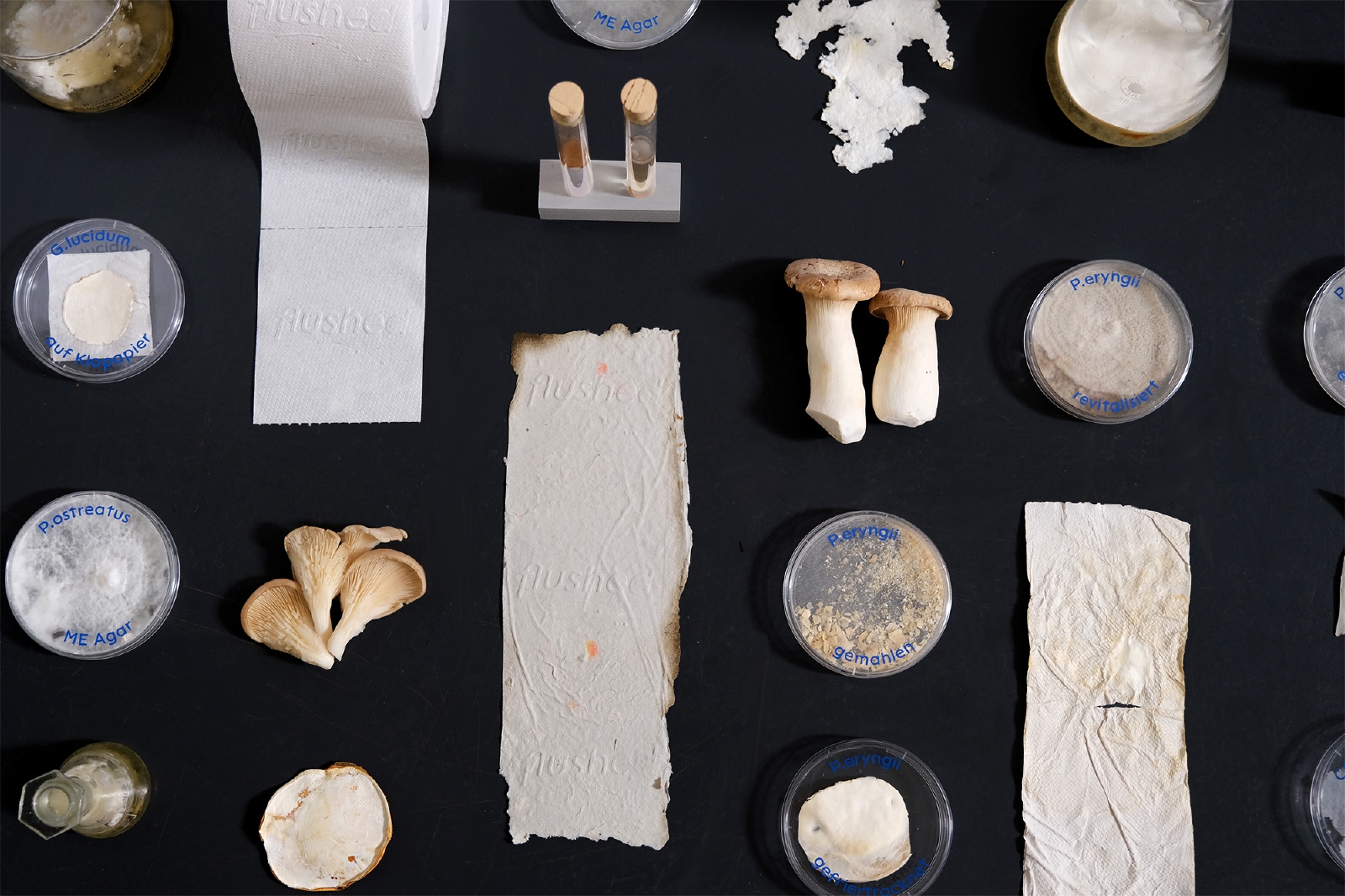 MK&amp;G_GermanDesignGraduates_SophiaReißenweber_Flushed