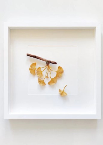 csm_GinkgoBranchInAutumn_ItamarYehiel_2023_c32159ee5d