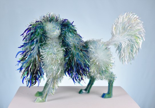 Klonowska_Marta_Spaniel_2019