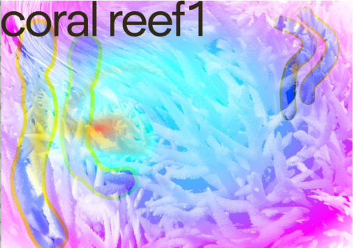 coral reef1