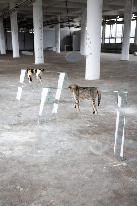 Zuzana Škorpíková