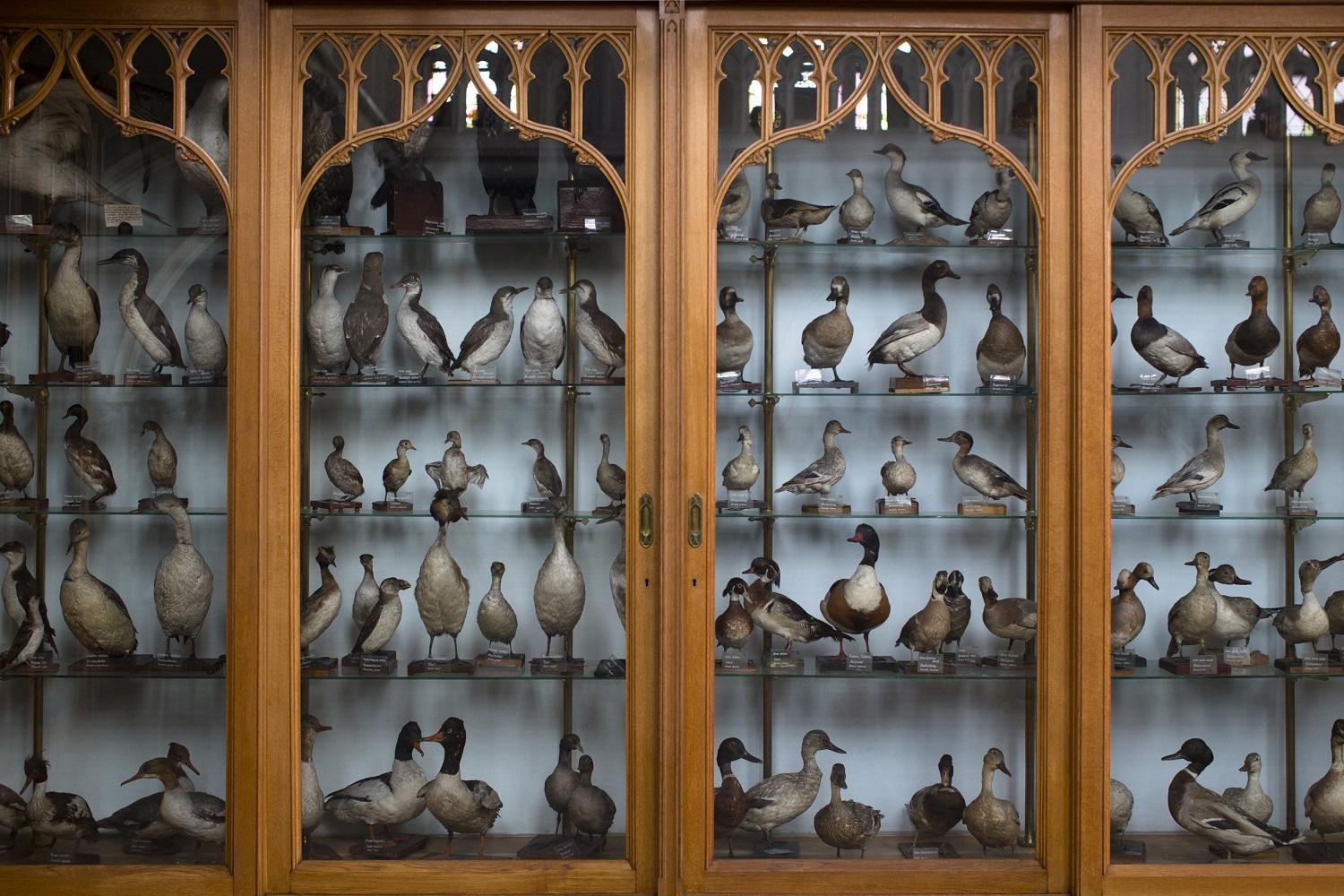 Ursulinen_BRP8629_koenbroos_verkleind-1